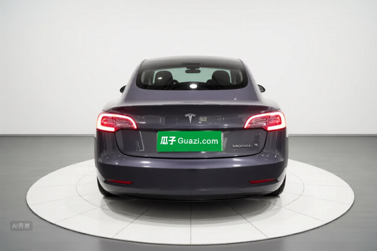 Tesla Model 3 2020 car image #6