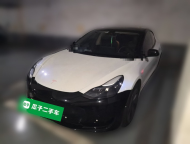 Tesla Model 3 2023 Tesla Model 3 2023 car image