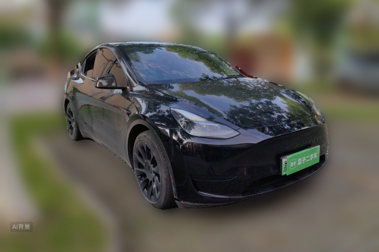 Tesla Model Y 2022 car image #4