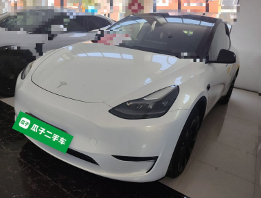 Tesla Model Y 2021 Tesla Model Y 2021 immagine di auto