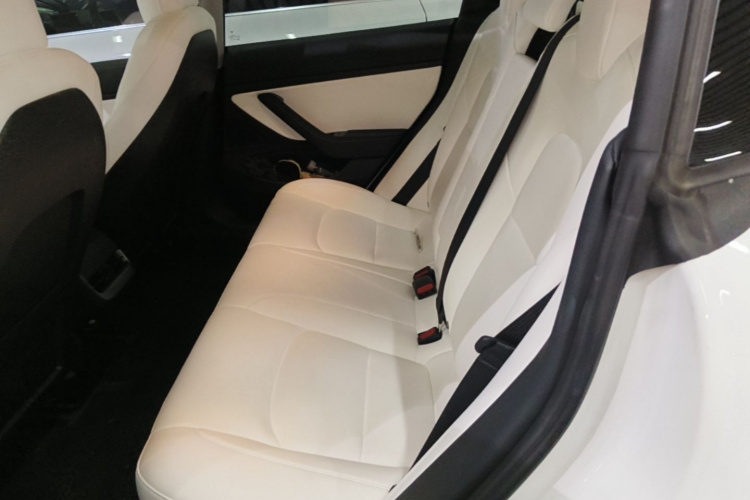 Tesla Model 3 2020 #17 Tesla Model 3 2020 car image #17