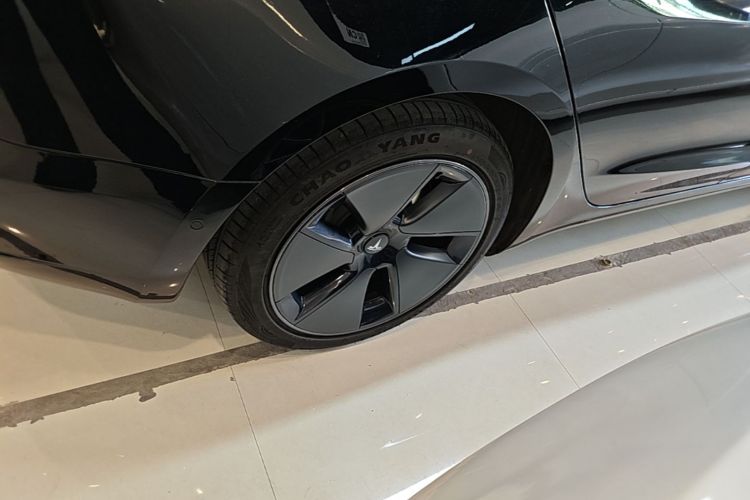 Tesla Model 3 2021 imagem de carro #10