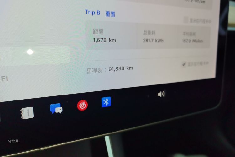 Tesla Model 3 2020 car image #14