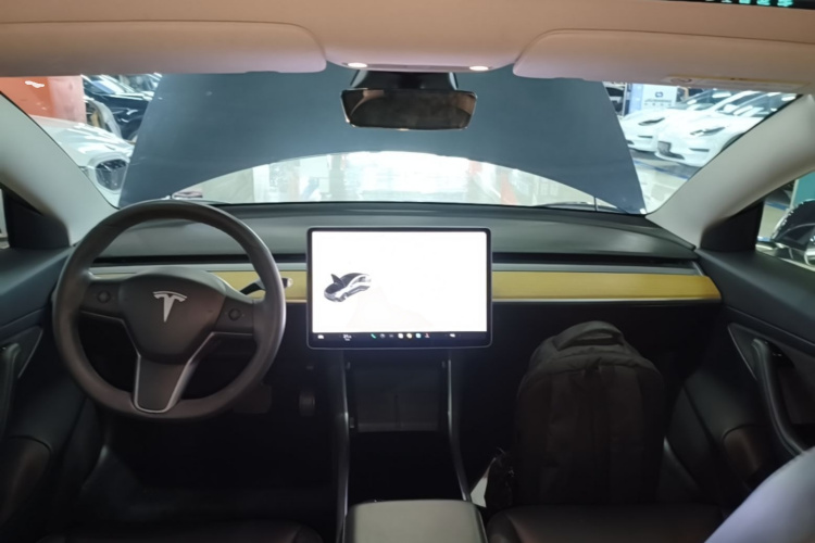 Tesla Model 3 2020 car image #10