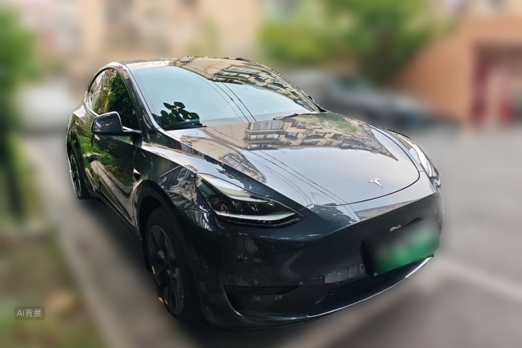 Tesla Model Y 2024 car image #4