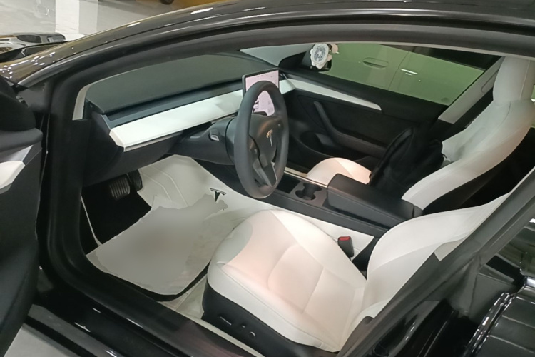 Tesla Model 3 2023 car image #16