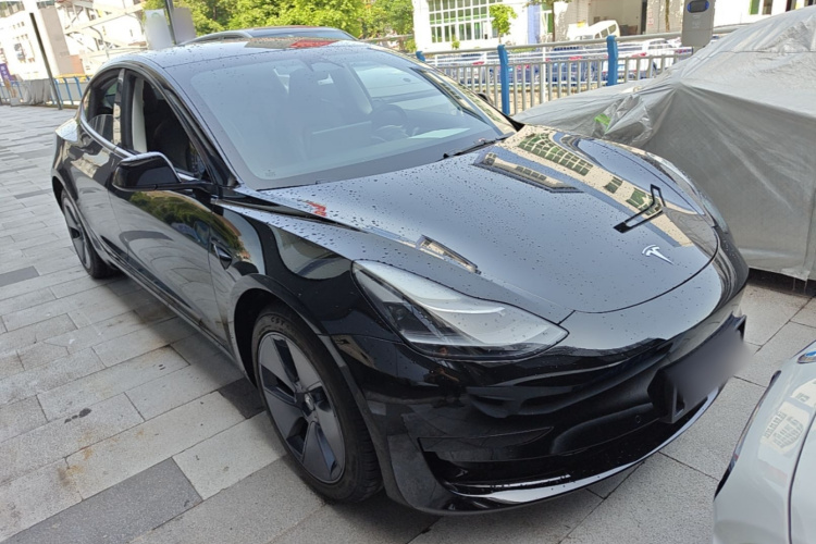 Tesla Model 3 2021 #4 Tesla Model 3 2021 car image #4