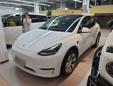 Tesla Model Y 2021 immagine di auto 