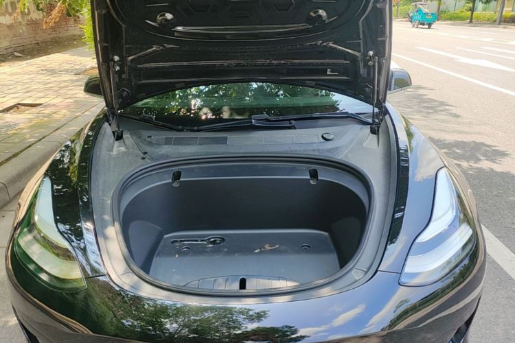 Tesla Model 3 2020 #22 Tesla Model 3 2020 car image #22