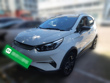 BYD Yuan Pro 2021 BYD Yuan Pro 2021 imagem de carro