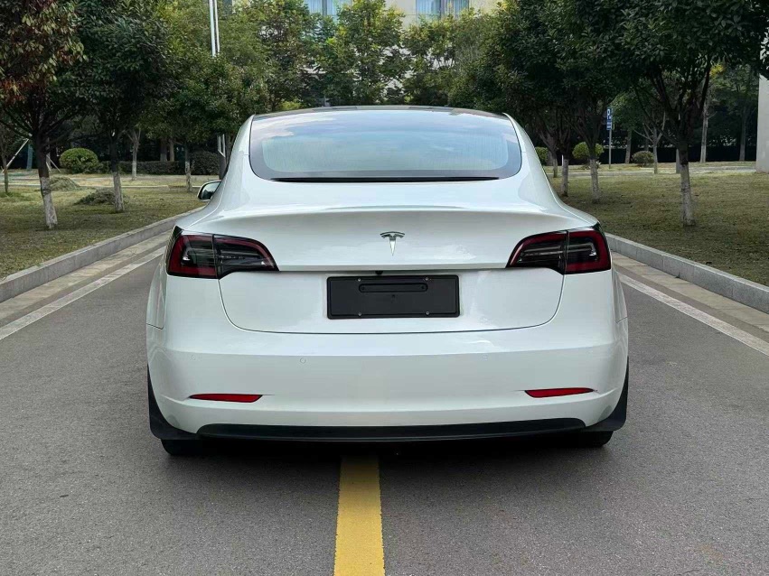 Tesla Model 3 (Imported) 2020 #5 Tesla Model 3 (Imported) 2020 immagine di auto #5