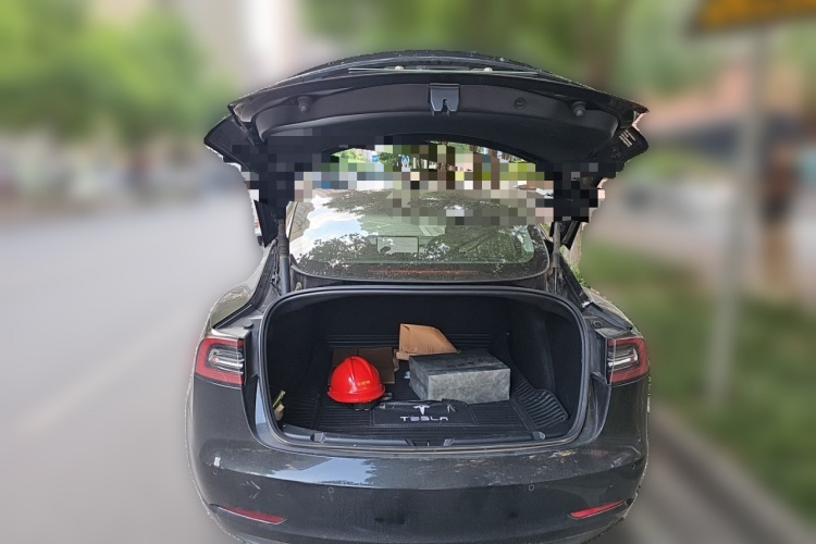 Tesla Model 3 2021 immagine di auto #17