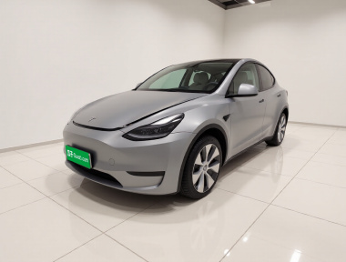 Tesla Model Y 2022 Tesla Model Y 2022 car image