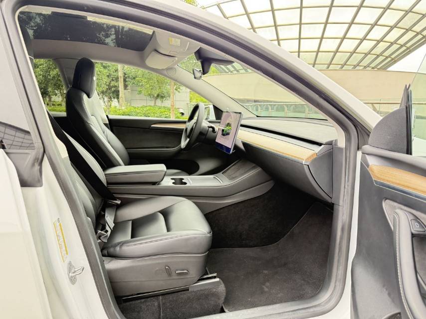 Tesla Model Y 2021 car image #11