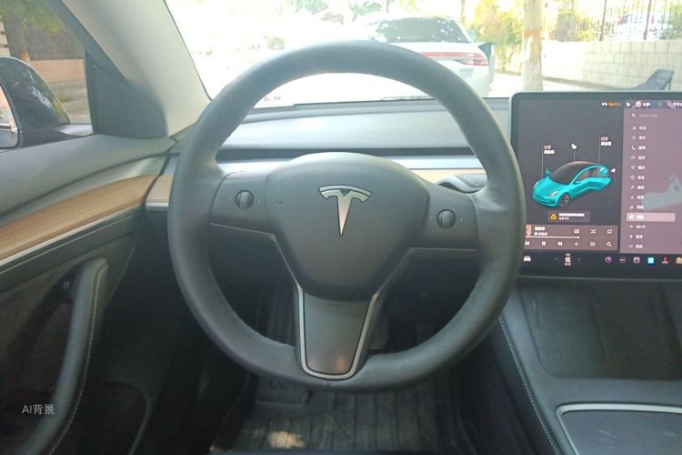 Tesla Model 3 2021 #12 Tesla Model 3 2021 صورة سيارة #12