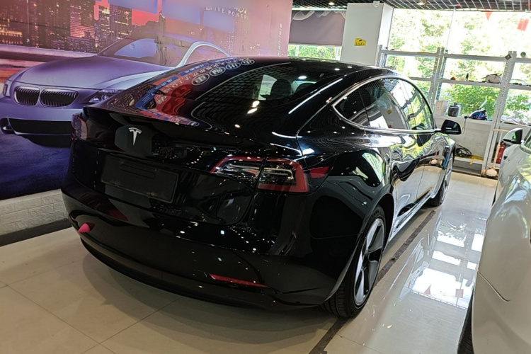 Tesla Model 3 2021 imagem de carro #5