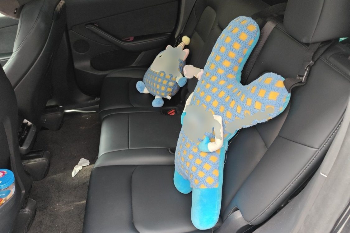 Tesla Model Y 2024 car image #21