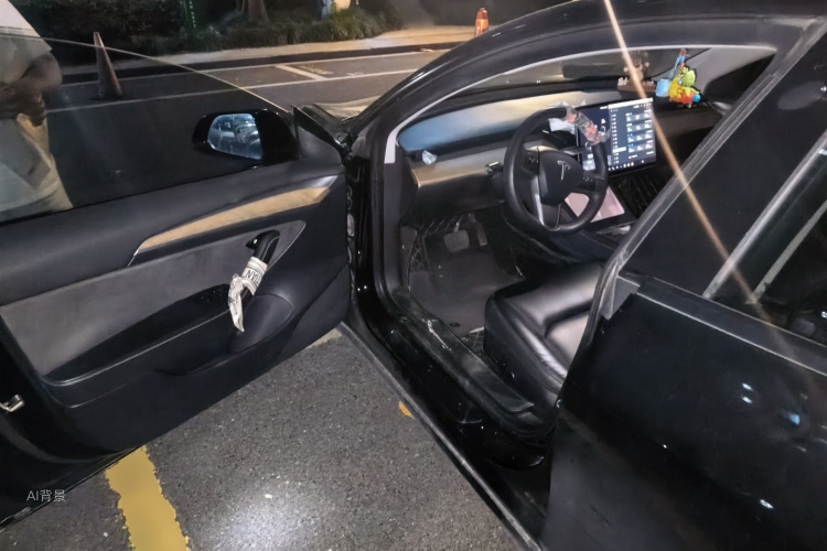 Tesla Model 3 2021 immagine di auto #18