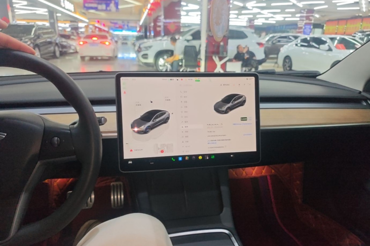 Tesla Model 3 2023 #10 Tesla Model 3 2023 immagine di auto #10