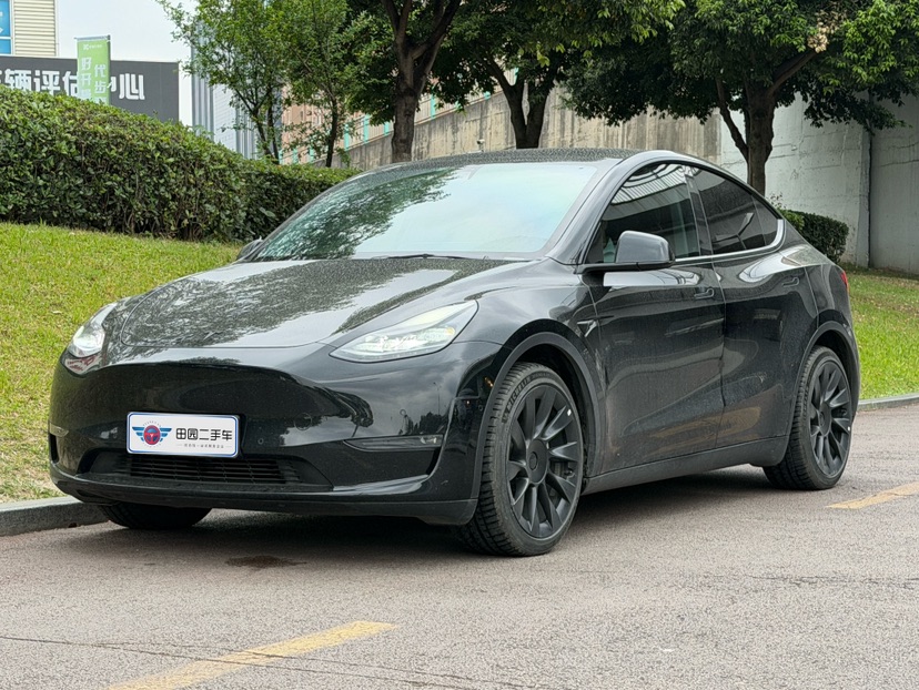 Tesla Model Y 2021 Tesla Model Y 2021 car image