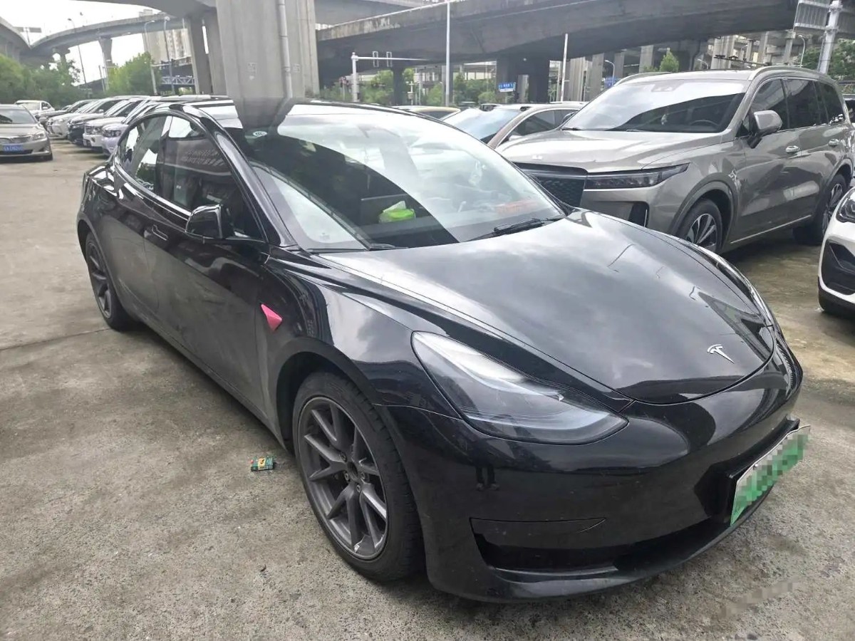 Tesla Model 3 2023 #3 Tesla Model 3 2023 car image #3
