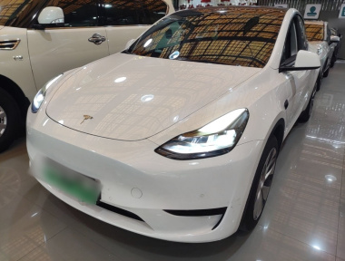 Tesla Model Y 2022 car image 