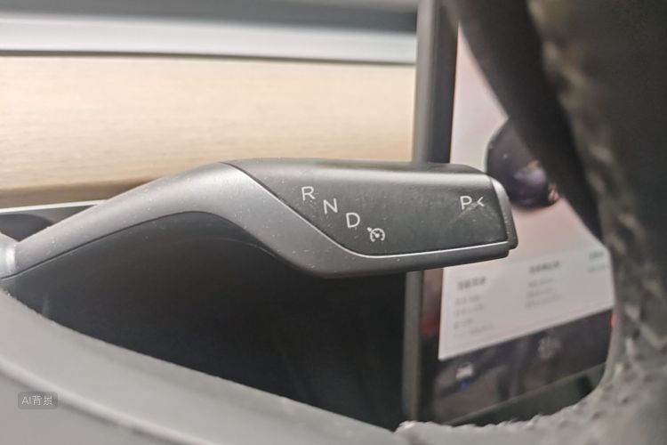 Tesla Model Y 2021 car image #16