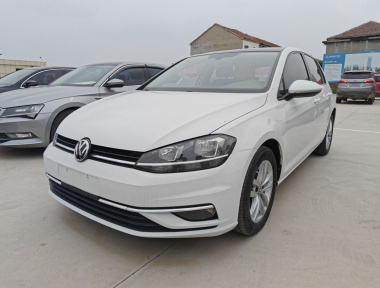 Volkswagen Golf 2019 Volkswagen Golf 2019 car image