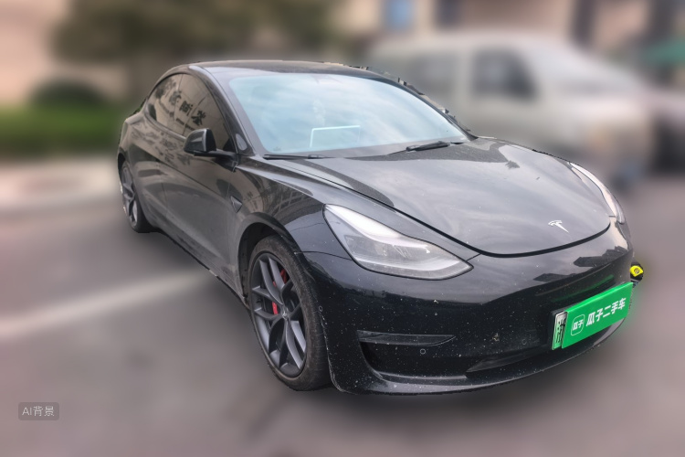Tesla Model 3 2021 car image #4