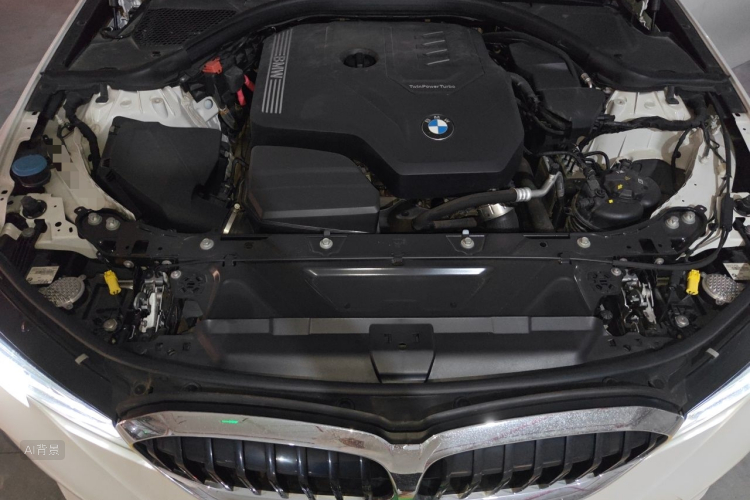 BMW 3 Series 2021 car image #22