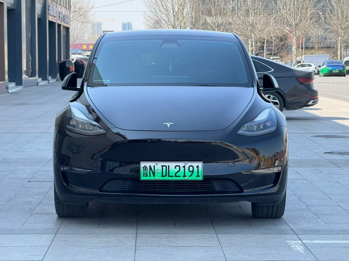 Tesla Model Y 2021 #2 Tesla Model Y 2021 car image #2