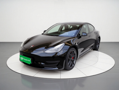 Tesla Model 3 2021 Tesla Model 3 2021 car image