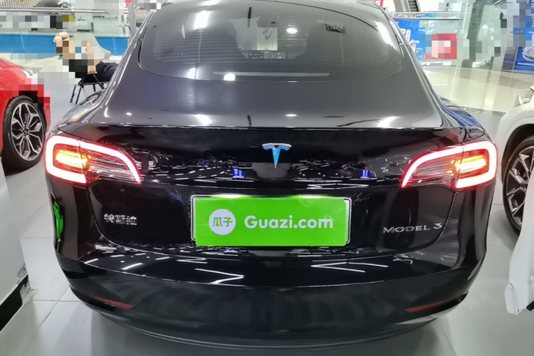 Tesla Model 3 2021 car image #4