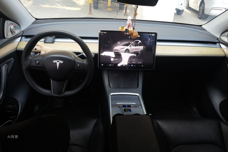 Tesla Model Y 2023 car image #11