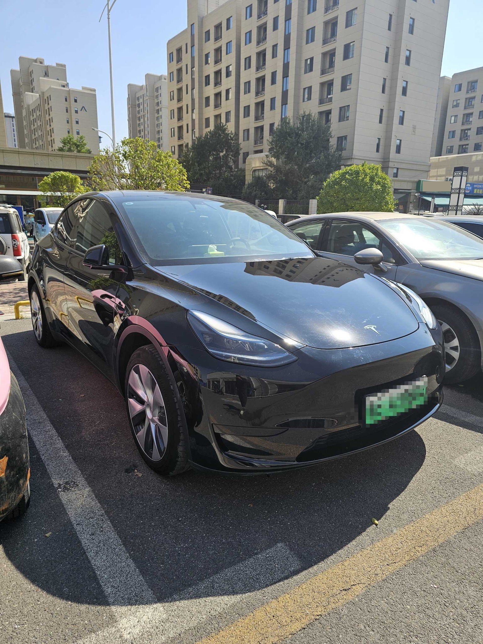 Tesla Model Y 2023 #7 Tesla Model Y 2023 car image #7