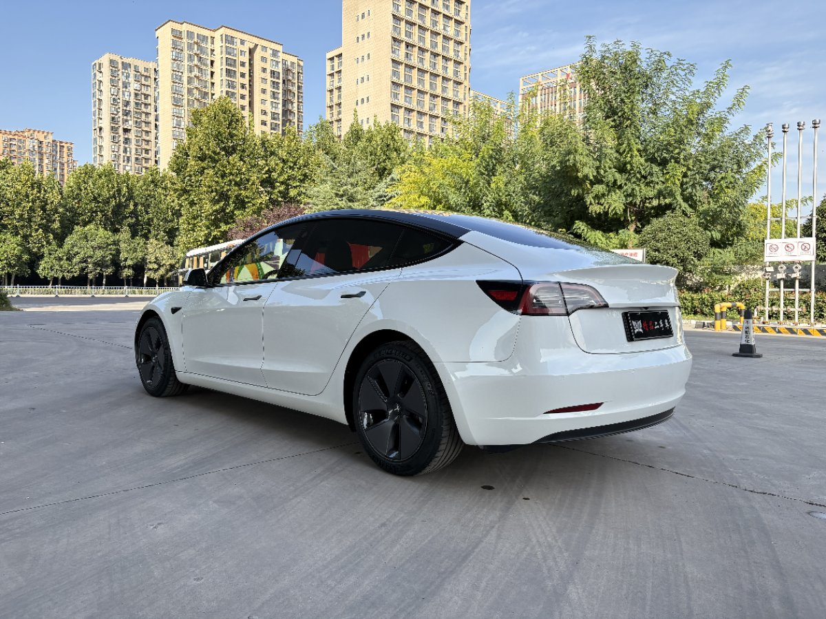 Tesla Model 3 2021 car image #7