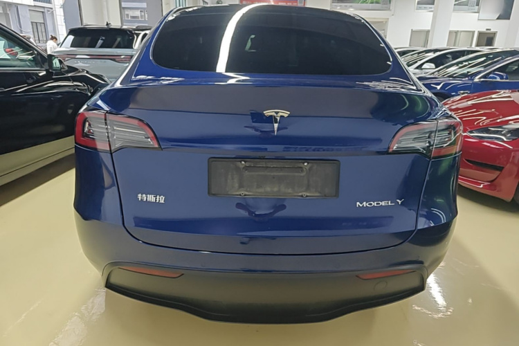 Tesla Model Y 2023 #6 Tesla Model Y 2023 car image #6