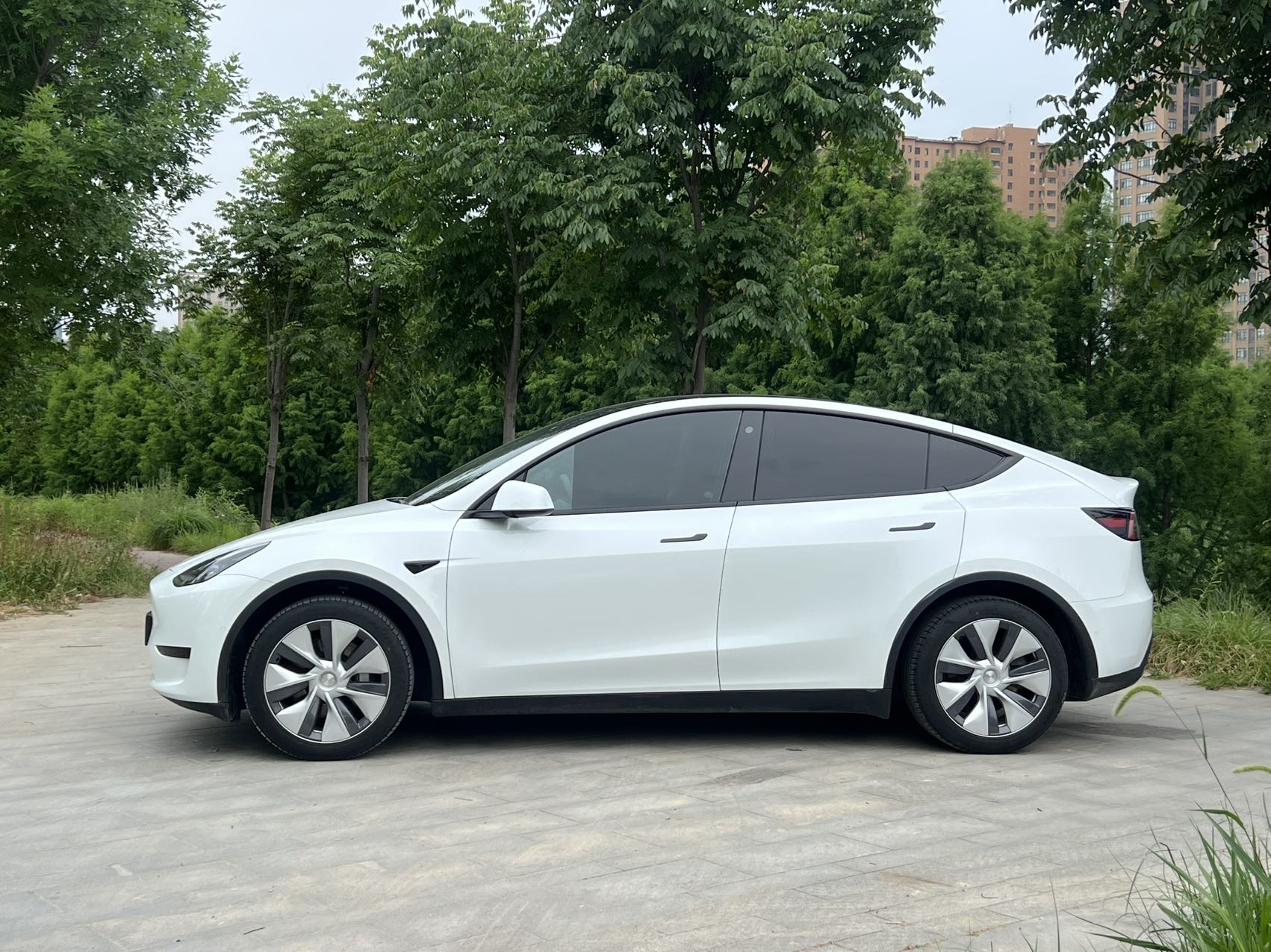 Tesla Model Y 2023 #3 Tesla Model Y 2023 car image #3