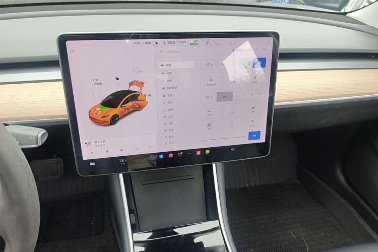 Tesla Model 3 2020 car image #13