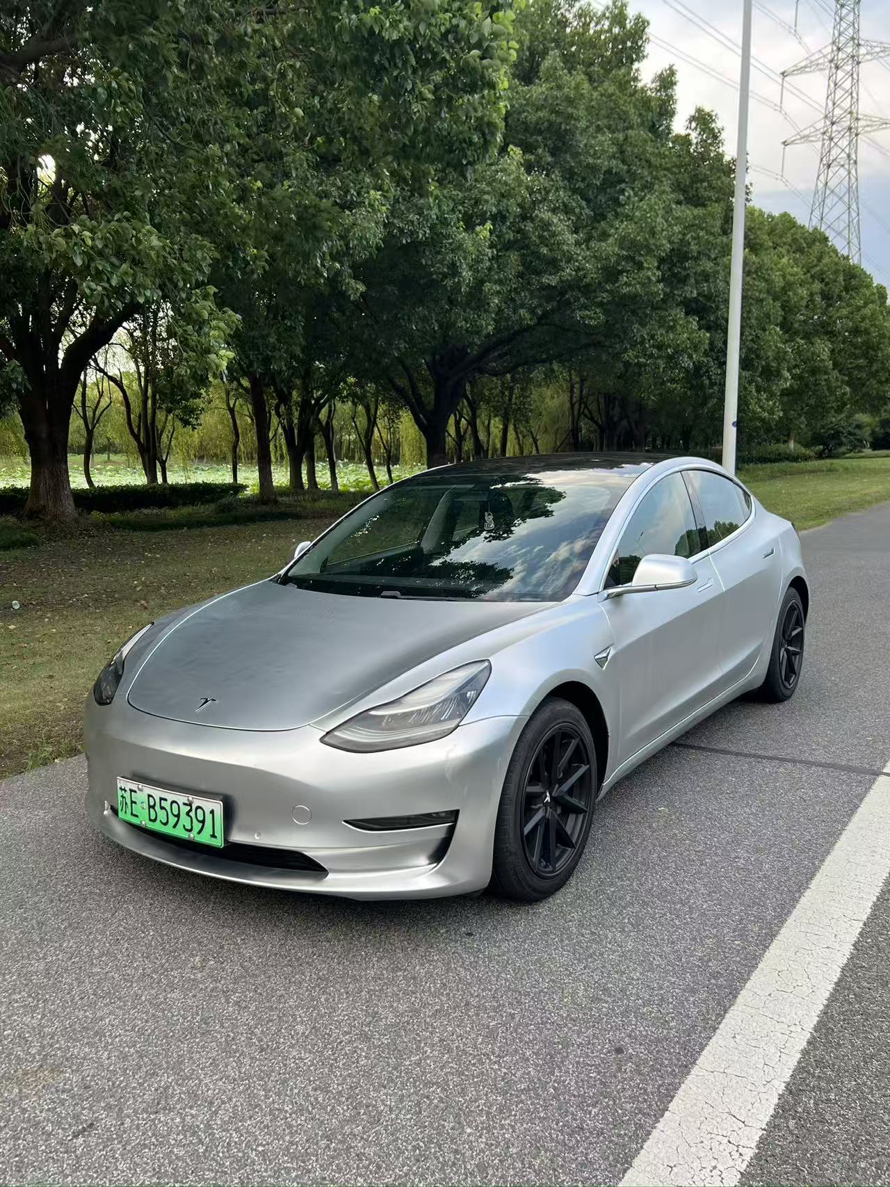 Tesla Model 3 (Imported) 2019 Tesla Model 3 (Imported) 2019 immagine di auto