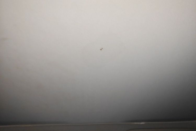 Tesla Model 3 2022 car image #16