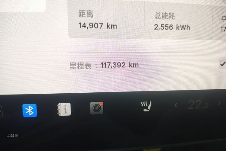 Tesla Model 3 2021 car image #14