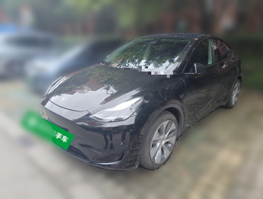 Tesla Model Y 2022 Tesla Model Y 2022 car image