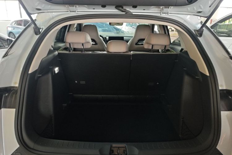 BYD Yuan Plus 2024 car image #19