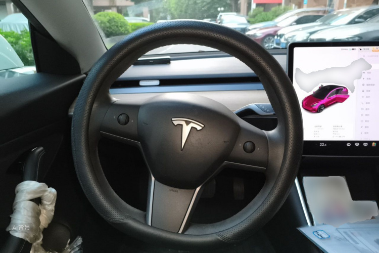 Tesla Model 3 2020 car image #12