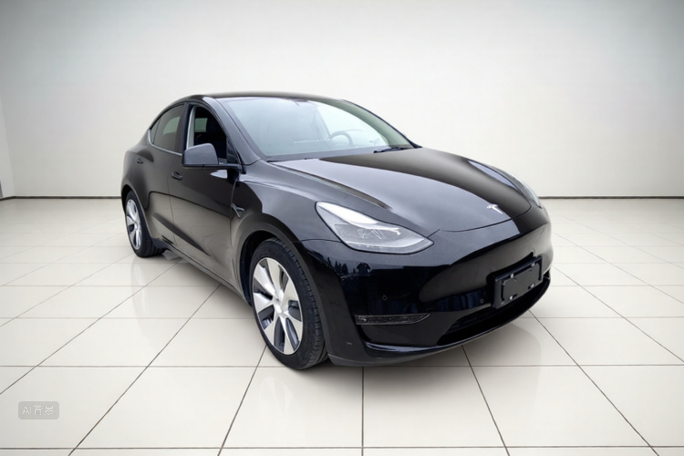 Tesla Model Y 2021 car image #4