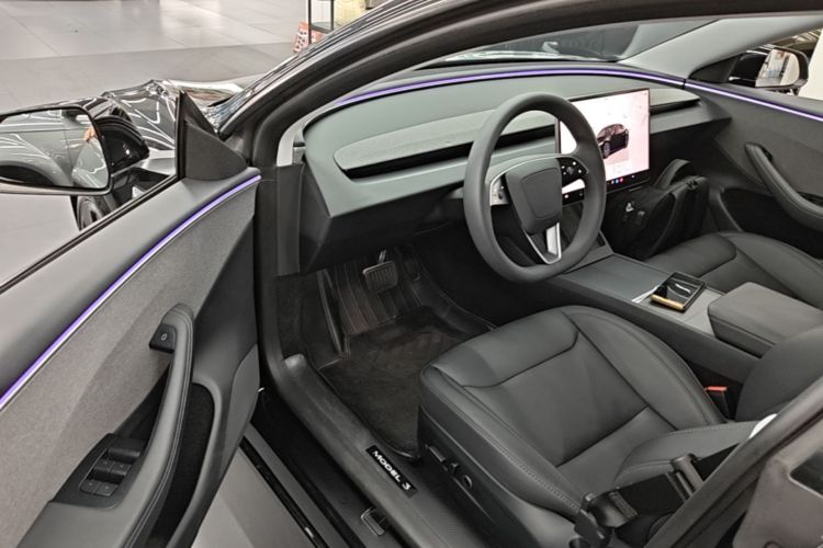 Tesla Model 3 2023 car image #16