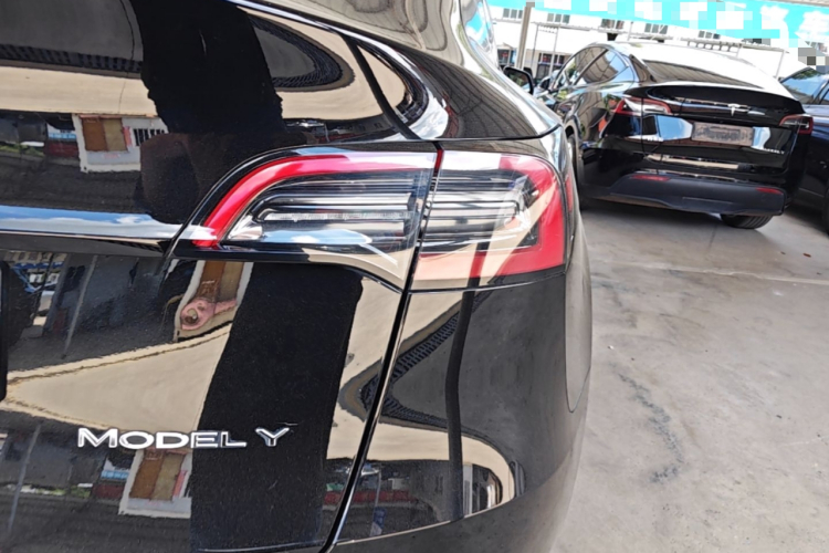 Tesla Model Y 2021 #8 Tesla Model Y 2021 car image #8