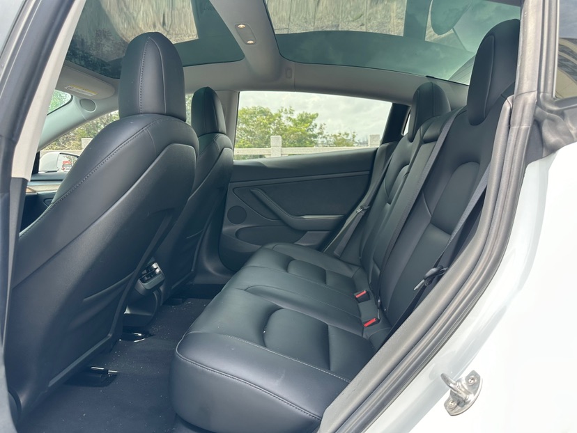 Tesla Model 3 2021 #6 Tesla Model 3 2021 car image #6