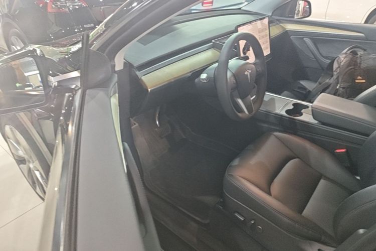 Tesla Model Y 2023 car image #16